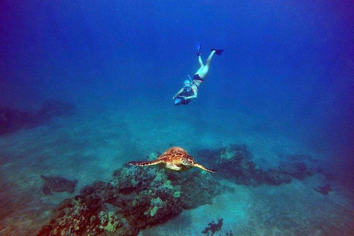 タートルタウン水中スクーターシュノーケリングツアー（写真＋動画）