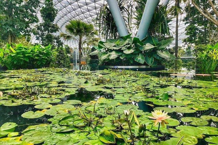 Singapore Changi Jewel Highlights Wandertour