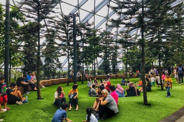Singapore Changi Jewel Highlights Wandertour