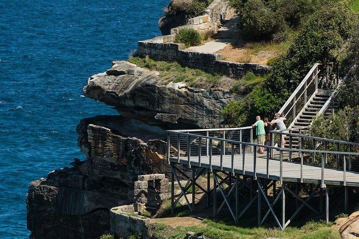 The Top Ten Hidden Harbour Beaches Tour with Jen