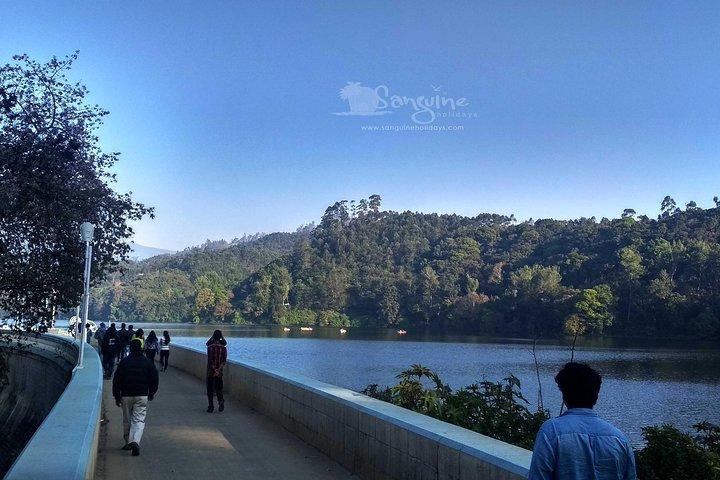 4 nuits-Budget Tour - Cochin/Munnar/Thekkady/Houseboat / Cochin