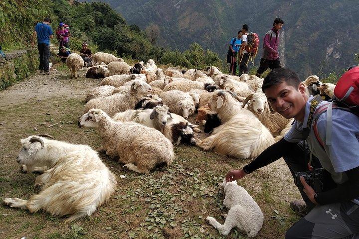 Annapurna: 2 dias 1 noite em Poon Hill Trekking