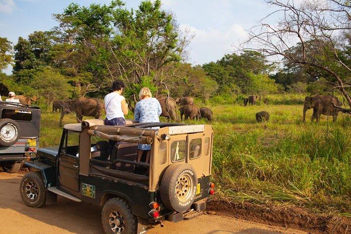 Private Wildtiersafari zum Hurulu Eco Park