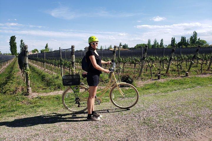 Bici, vini e pranzo a Luján de Cuyo (Mendoza)