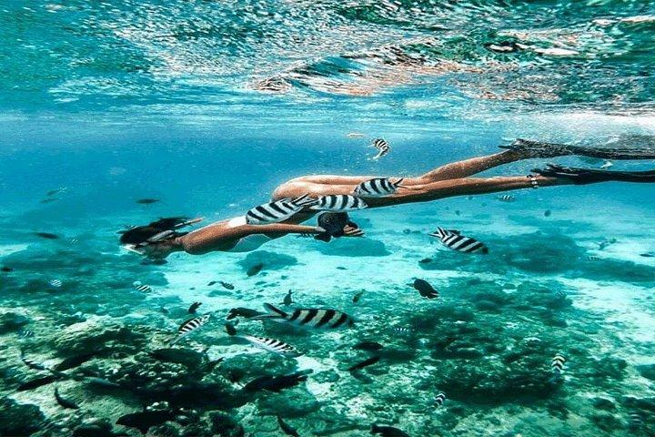 Bali Snorkeling Blue Lagoon and Tanjung Jepun All Included