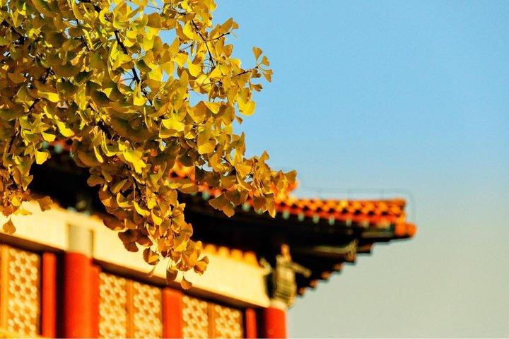 Visite privée de 2 jours des points forts de Pékin au départ de Xi'an en train à grande vitesse