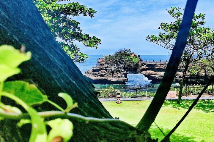 Cultura de Bali y elija su ruta turística de Bali en Bali con WIFI sin conductor de Bali