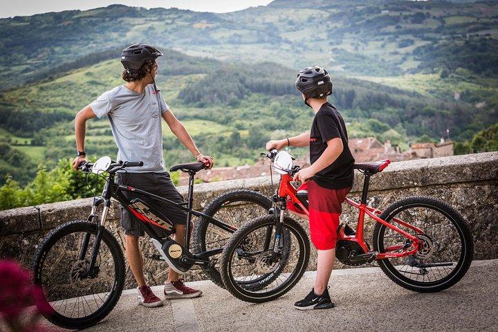 Fiesole: tour de medio día en bicicleta eléctrica por la campiña toscana y visita a la granja