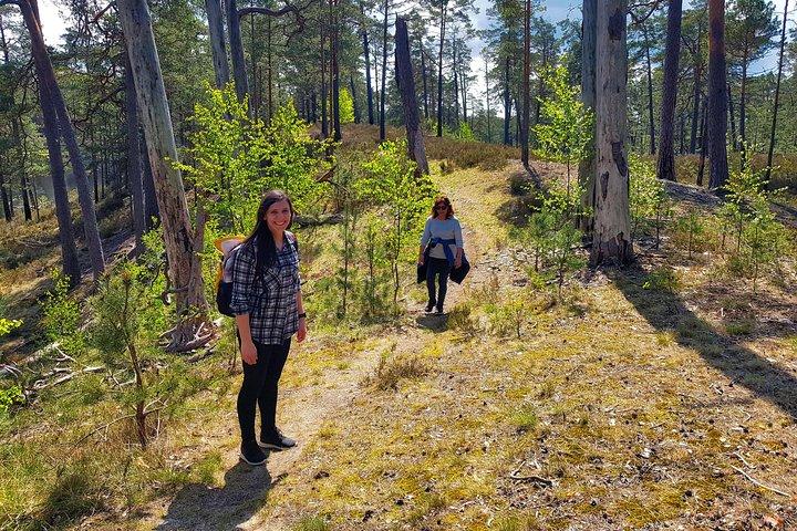 Four Natural Ecosystems In One Hike