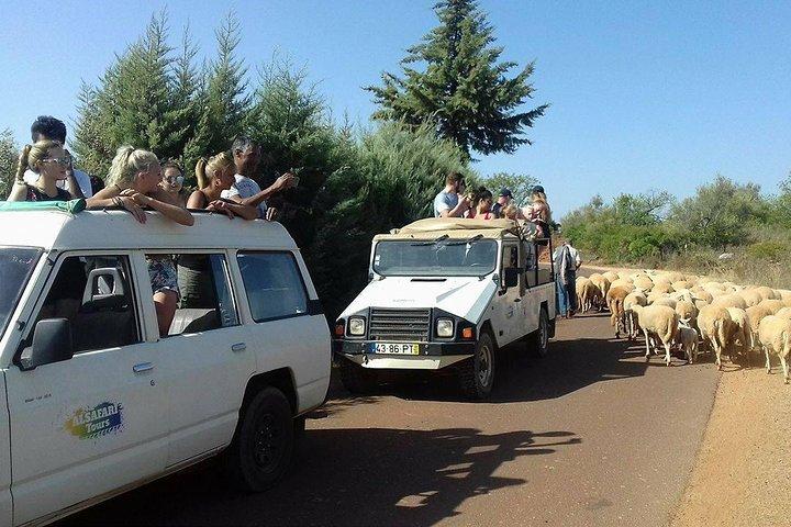 Gita di mezza giornata nella campagna dell'Algarve e safari in Jeep dei villaggi