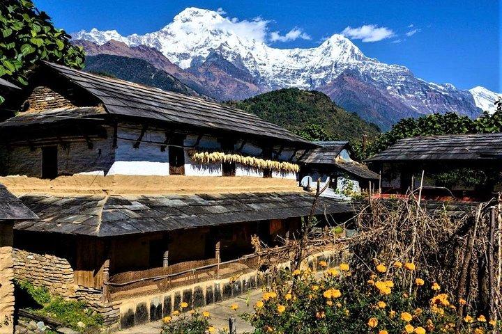 Ghandruk Tour Package