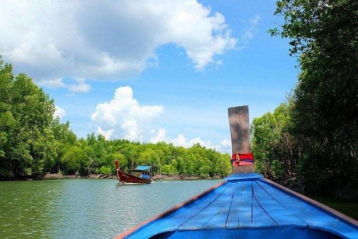 Visite de la forêt de mangroves de Tung Yee Peng en bateau longtail au départ de Koh Lanta