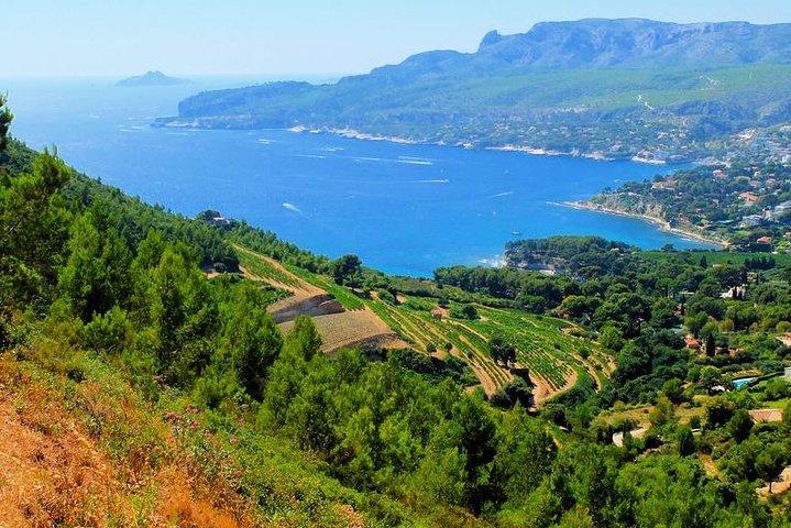 Tour privato di Calanques of Cassis, Aix-en-Provence e degustazione di vini
