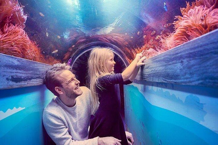 Boleto de entrada SEA LIFE Brighton