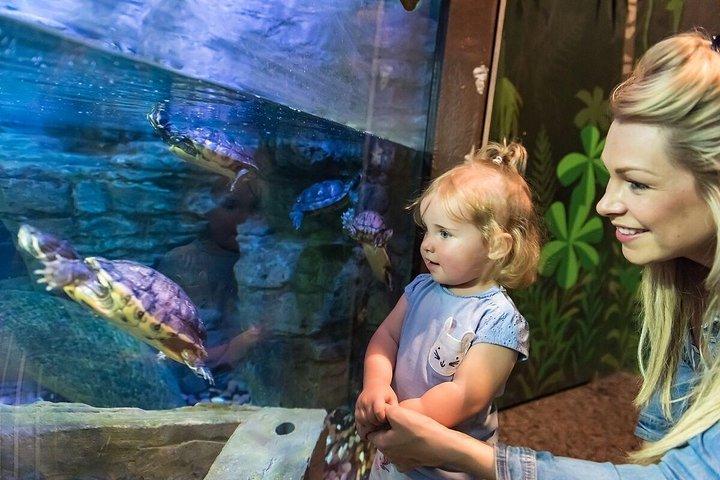 SEA LIFE Brighton Eintrittskarte
