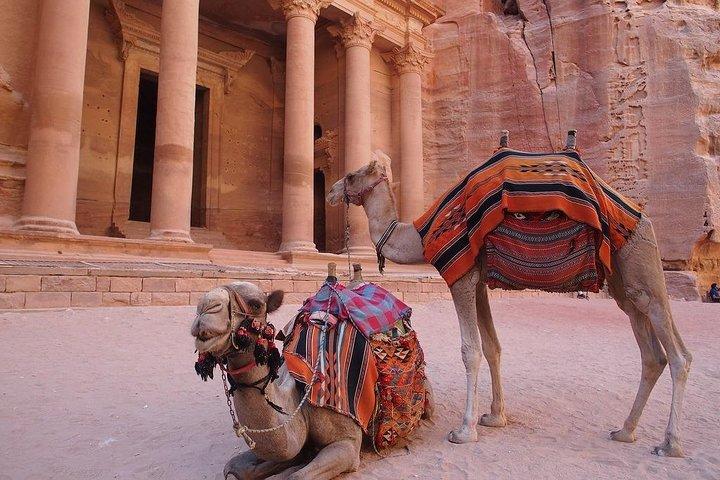 Excursão de 2 dias e 1 noite em Petra e Wadi Rum saindo de Aqaba