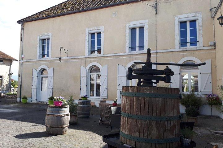 Champagne Lamiable : Visite Traditionnelle & Dégustation