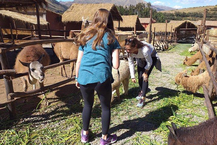 City Tour Cusco full day with lunch