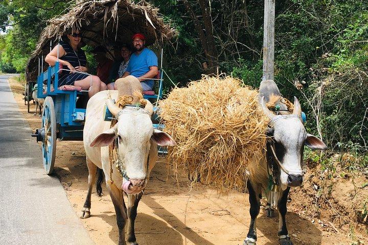 Day trip to Sigiriya and Dambulla from Kandy
