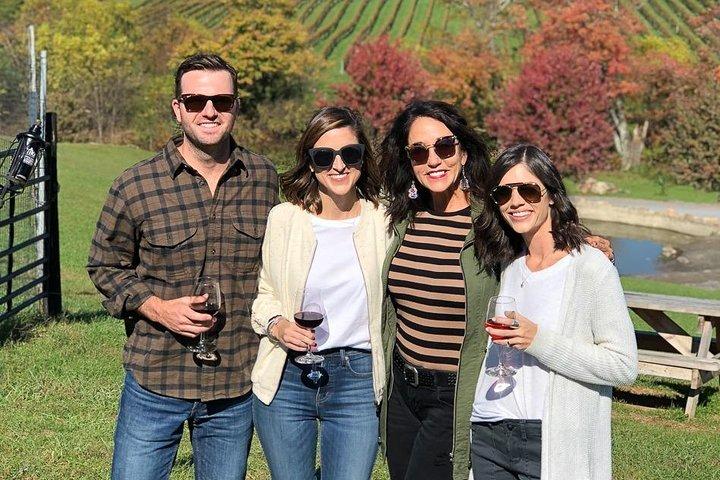 Tour privado personalizado de vinos y degustación desde DC