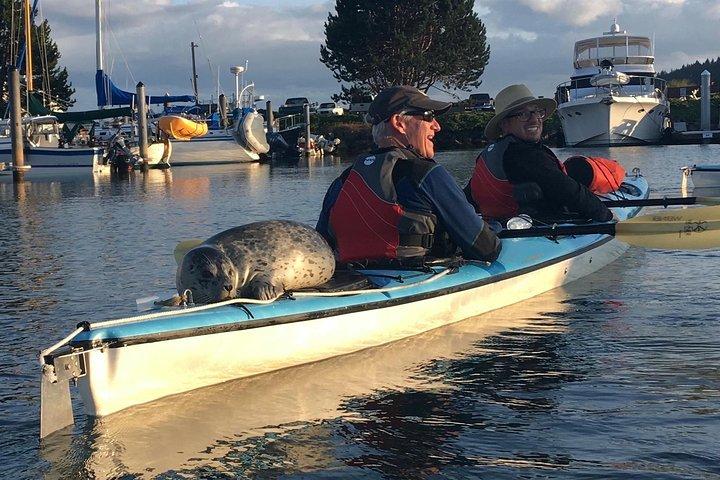 Excursion de 3 heures en kayak de mer dans les îles de San Juan