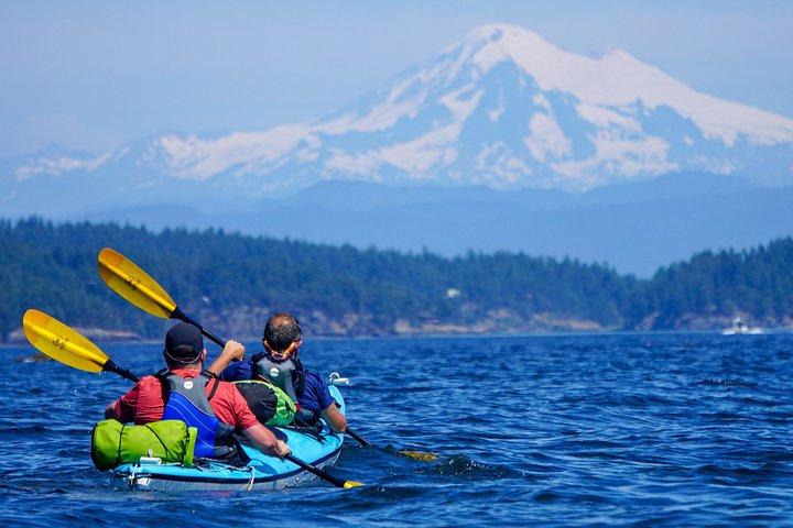 Excursion de 3 heures en kayak de mer dans les îles de San Juan