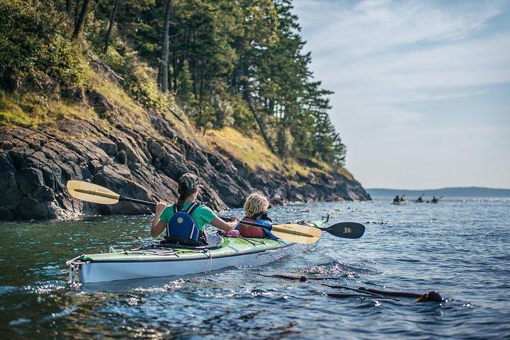 Excursion de 3 heures en kayak de mer dans les îles de San Juan