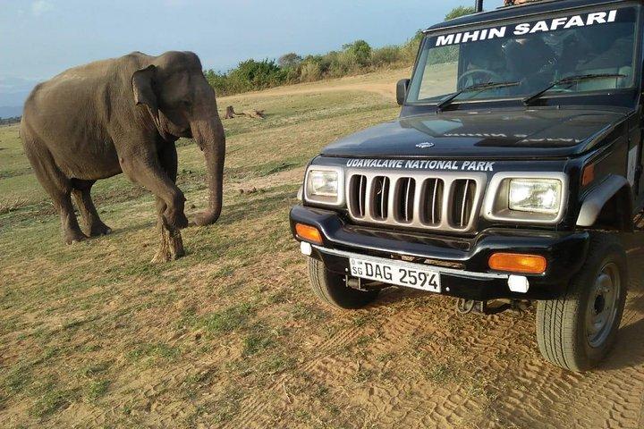 Udawalawe National Park | Privat Safari
