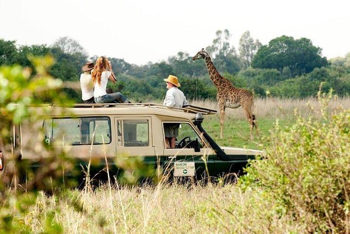 4-DAY Exciting Tsavo/Amboseli National Park/Mt. Kilimanjaro Safari
