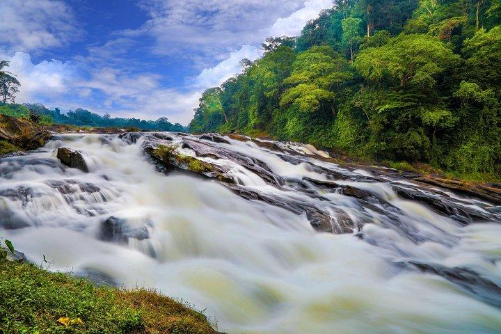 Emozionante Athirapilly: Gita di un giorno da Cochin