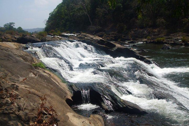 Emozionante Athirapilly: Gita di un giorno da Cochin