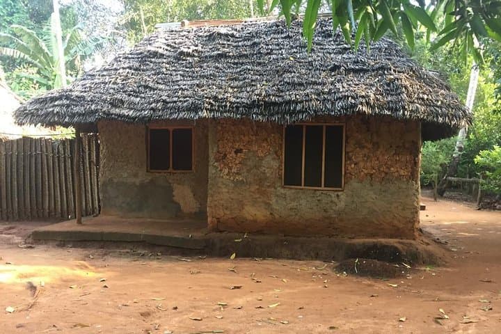 Stone Town, Spice Farm and Jozani Forest Private Tour