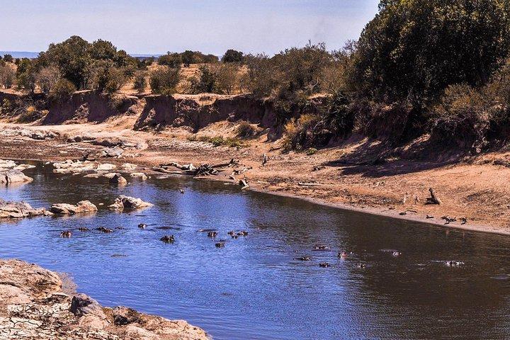 Crociera di 9 giorni Kenya Safari con DALA (personalizzabile)