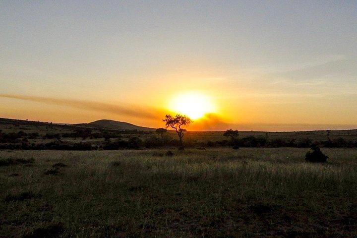 Crociera di 9 giorni Kenya Safari con DALA (personalizzabile)