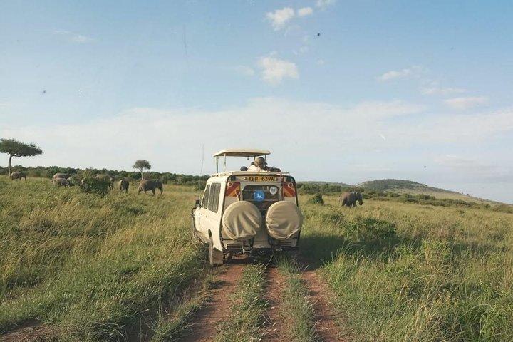 7 dagen 6 nachten Aberdares / Lake Nakuru / Masai Mara / Lake Naivasha / Amboseli