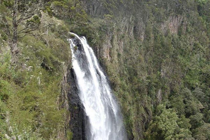 7 Tage 6 Nächte Aberdares / Lake Nakuru / Masai Mara / Lake Naivasha / Amboseli