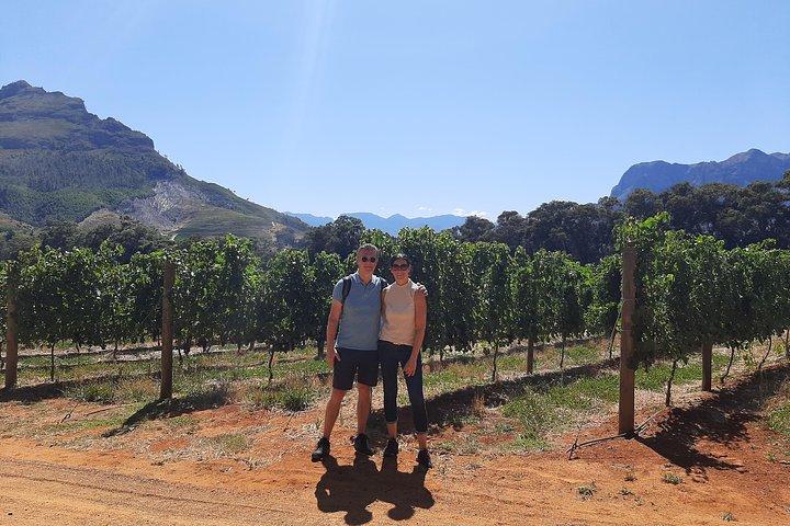 Private Weintour durch Stellenbosch, Franschhoek und Paarl