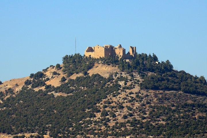 Jerash, Ajloun, Umm Qais Day Trip