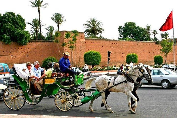 Private driver for a half-day at you service
