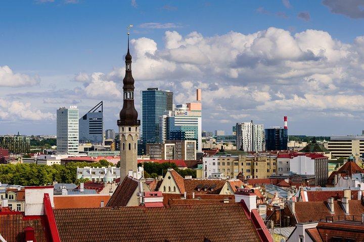 Tallinn Private Panorama Tour