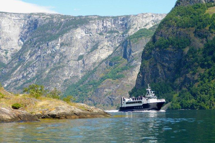 Excursão guiada ao fiorde e geleira - de BERGEN