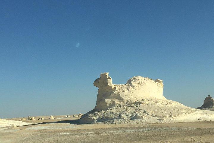 2 dagar White Desert och Bahariya Oasis Tour