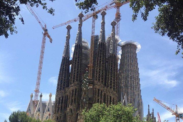 バルセロナ ファスト トラック ガイド ツアー : アクセス付きサグラダ ファミリア ツアー