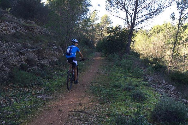 Route guidée en VTT - Tour "Pata Negra"