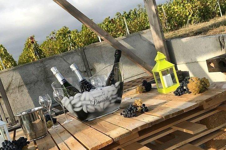 Champagne Lamiable: Balade et dégustation au coeur du vignoble Grand Cru