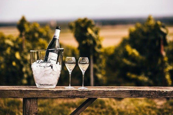 シャンパーニュラミアブル：グランクリュのブドウ畑の中心部で散策と試飲