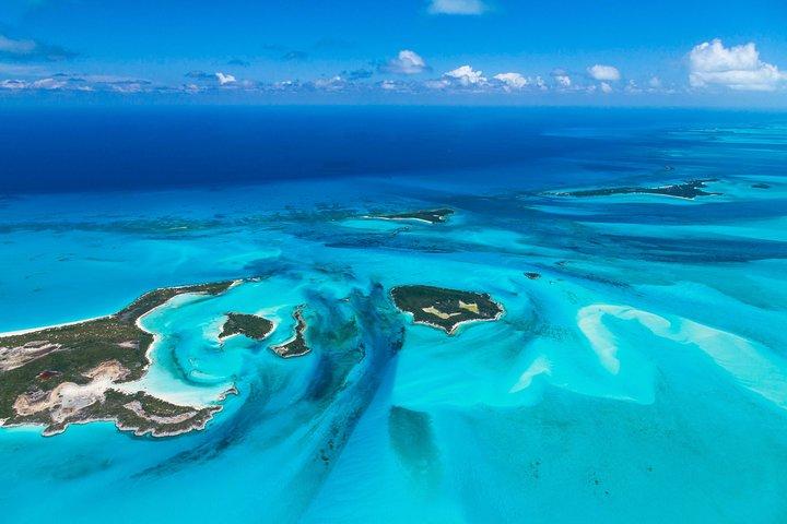 Split Cruise To Bimini & Kostenloser Transport!