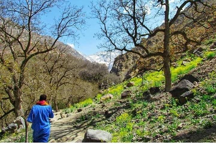 Day Trip To The Atlas Mountains, Berber villages & Waterfalls