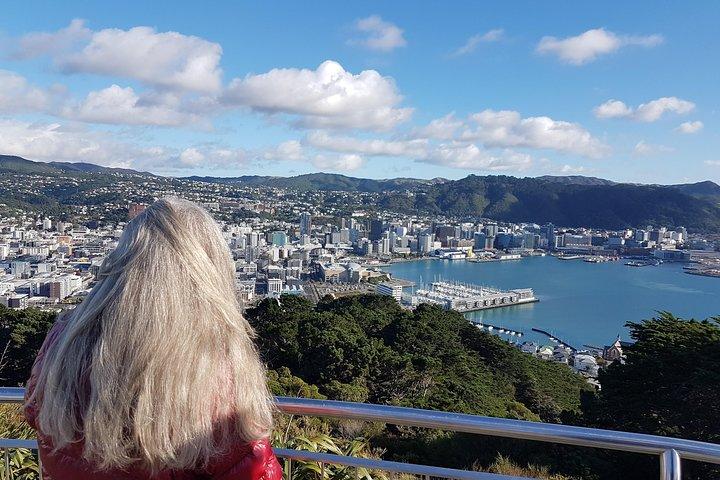 Privat Wellington heldagssightseeingtur