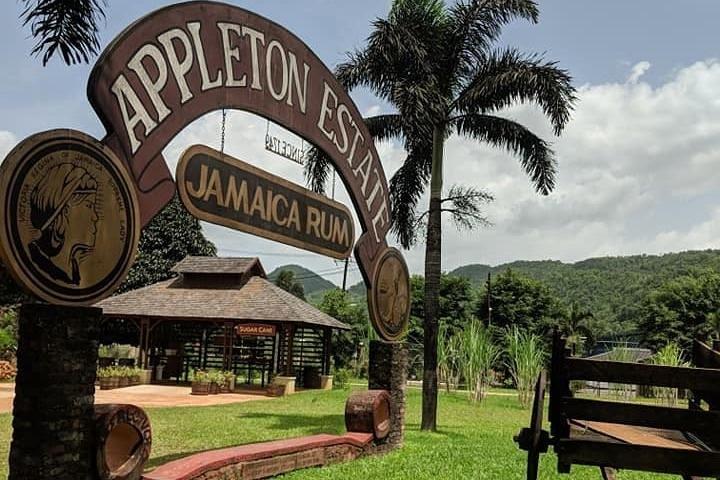 3 giorni di tour panoramico della Giamaica di Treasure Beach e Negril in partenza da Kingston